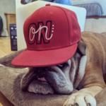 On-On Typography Snapback Cap